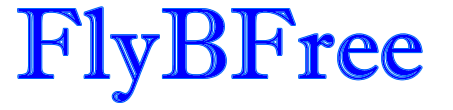 FlyBFree
